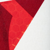 Onix Z5 Graphite Modern Pickleball Paddle Lucy Kovalova Matt Wright Red